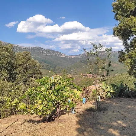 Casa vacanze Cozy In Orgosolo